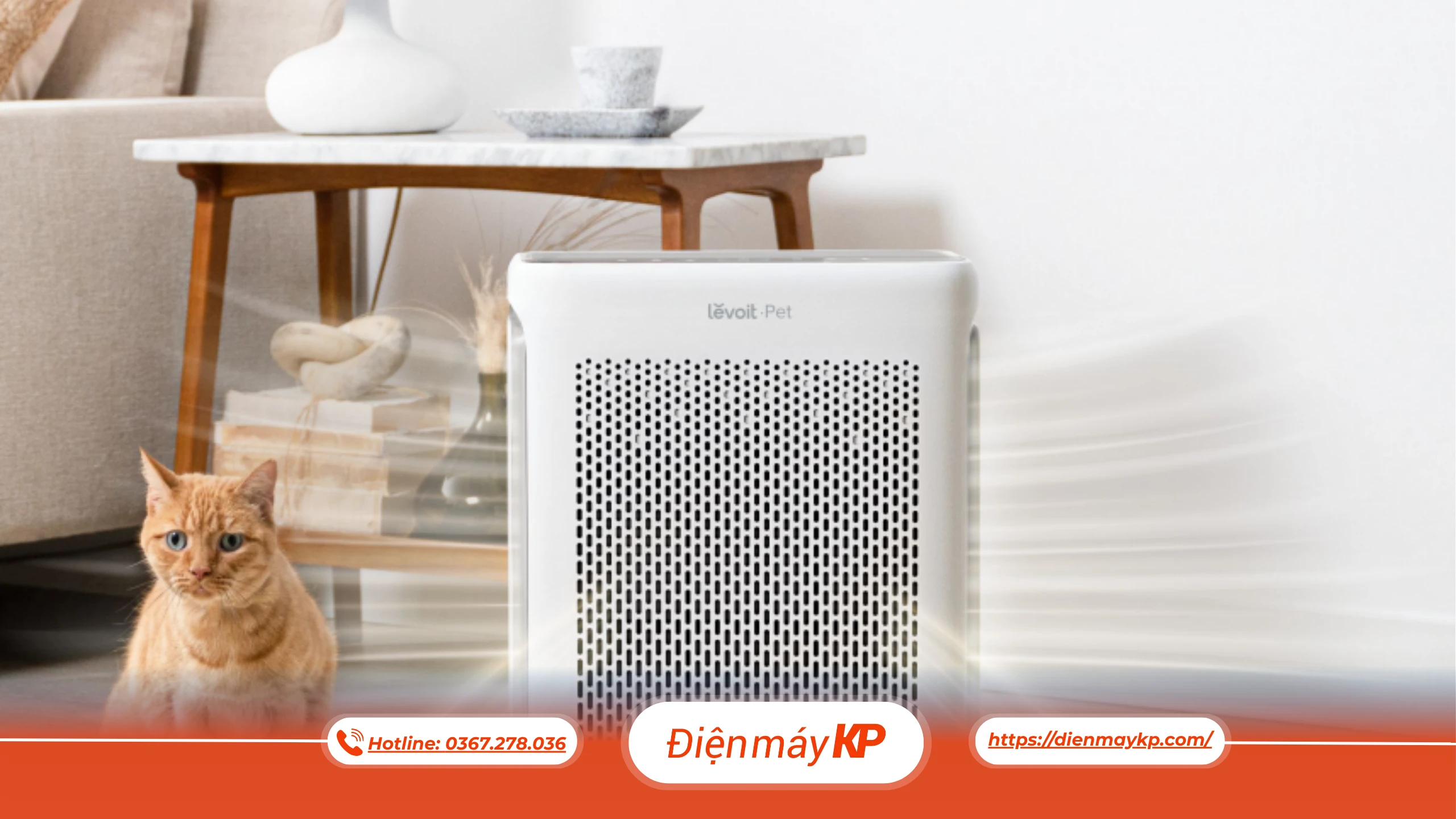 Máy Lọc Không Khí Có Loại Bỏ Được Lông Thú Cưng Không?