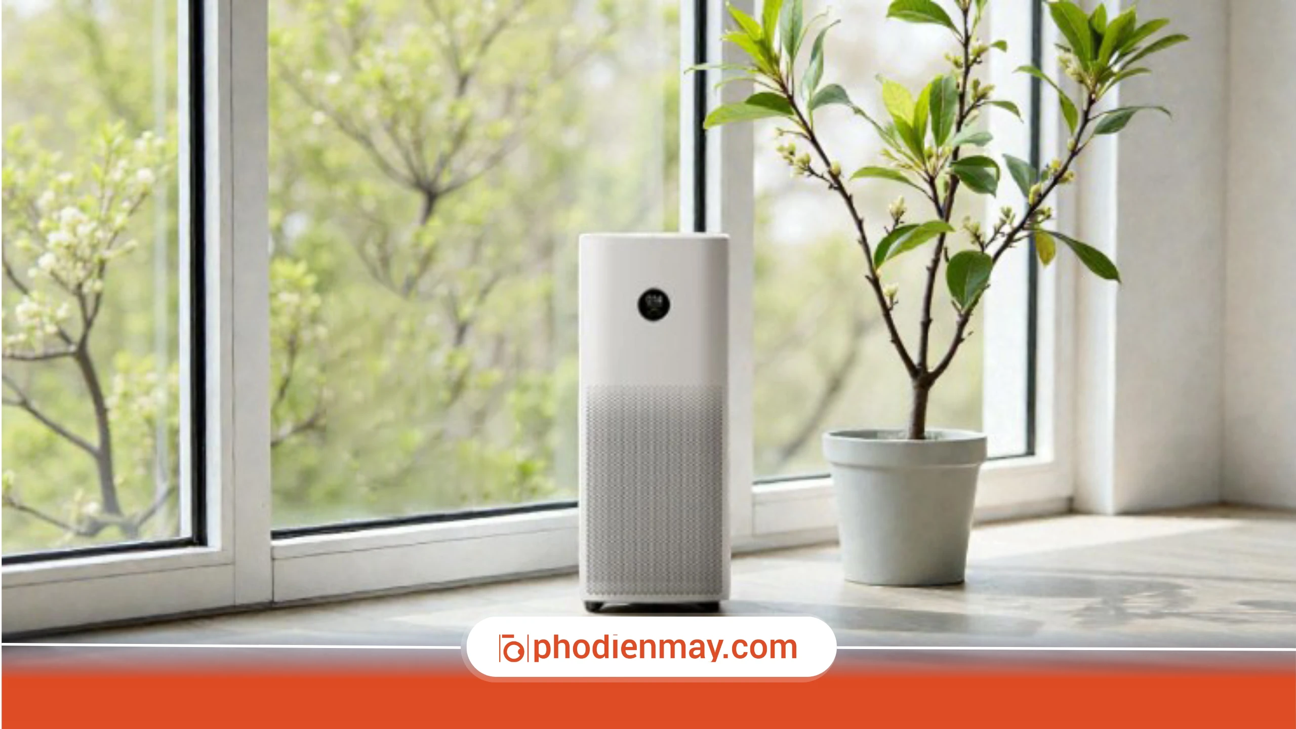 Máy lọc không khí có khử mùi và diệt khuẩn không?
