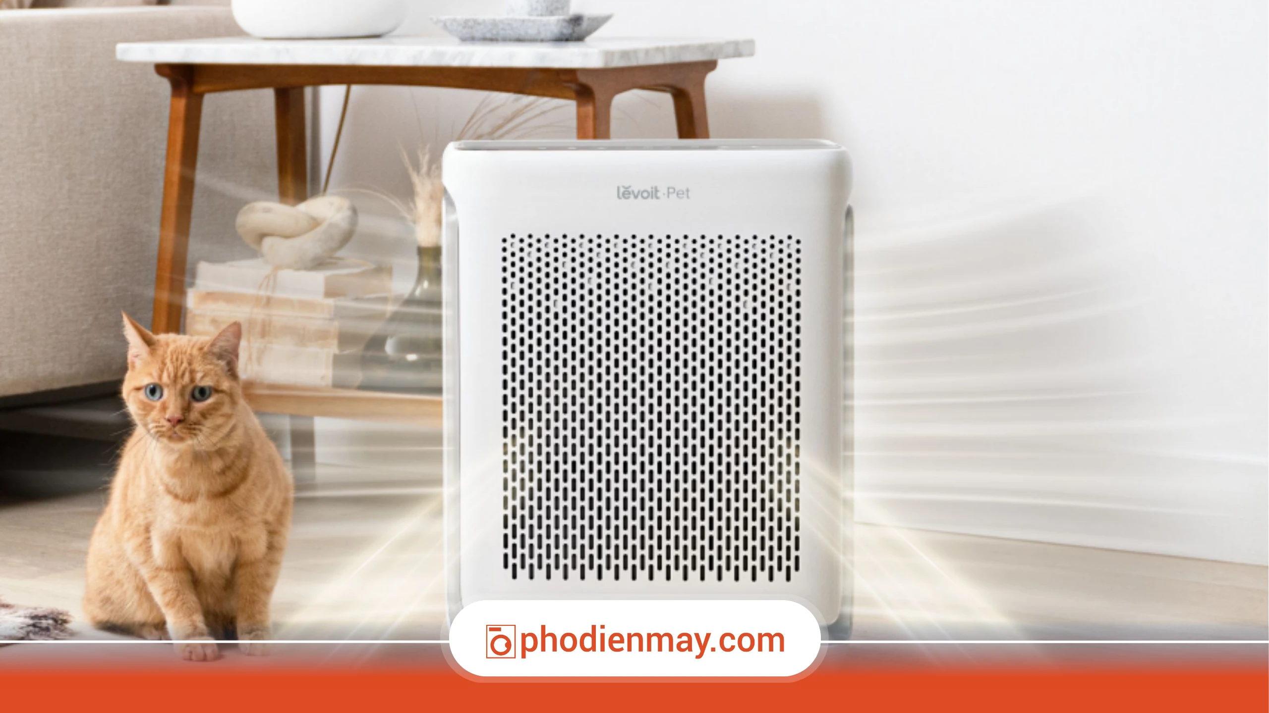 lắp máy lọc không khí 