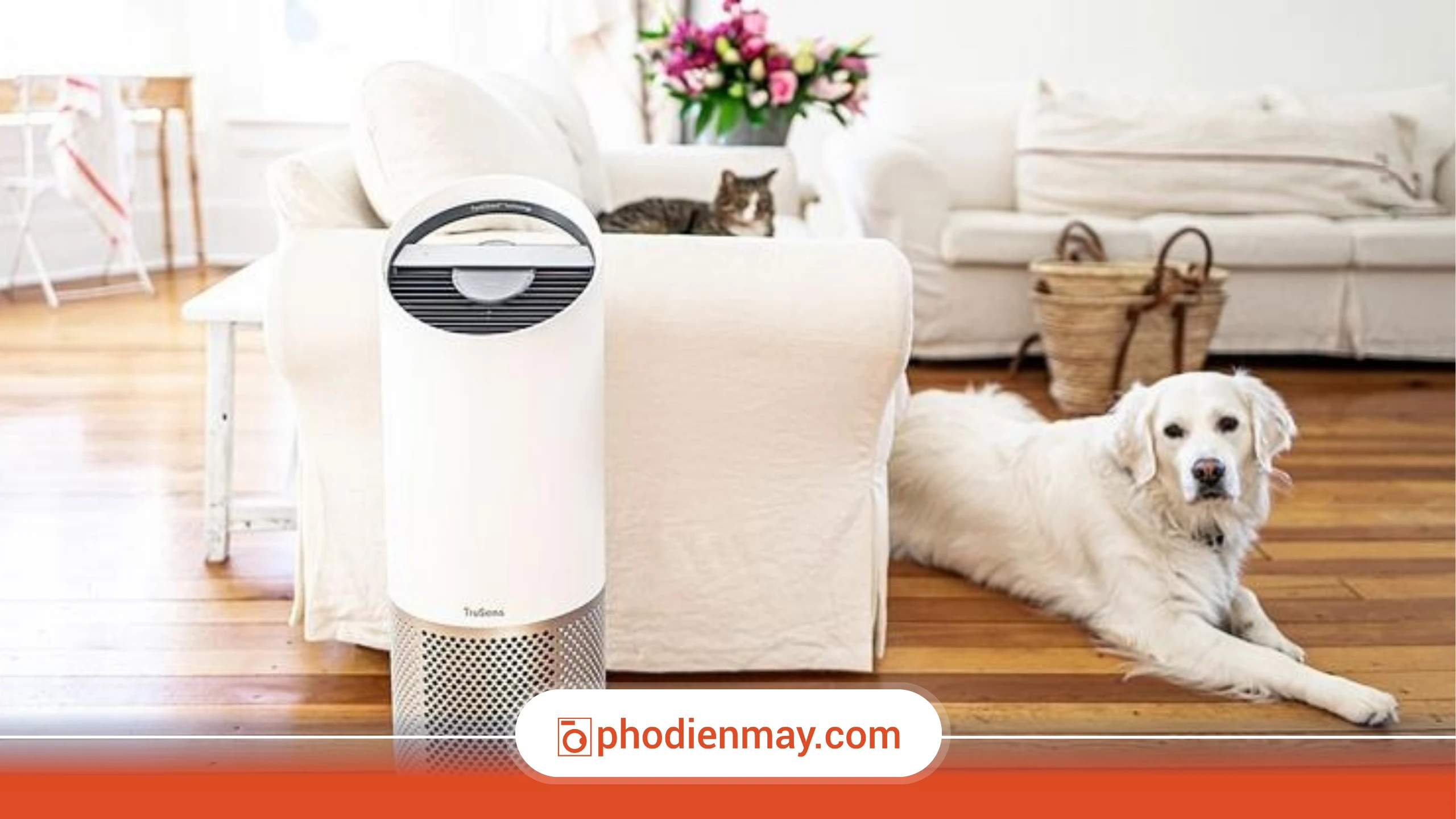 lắp đặt máy lọc không khí