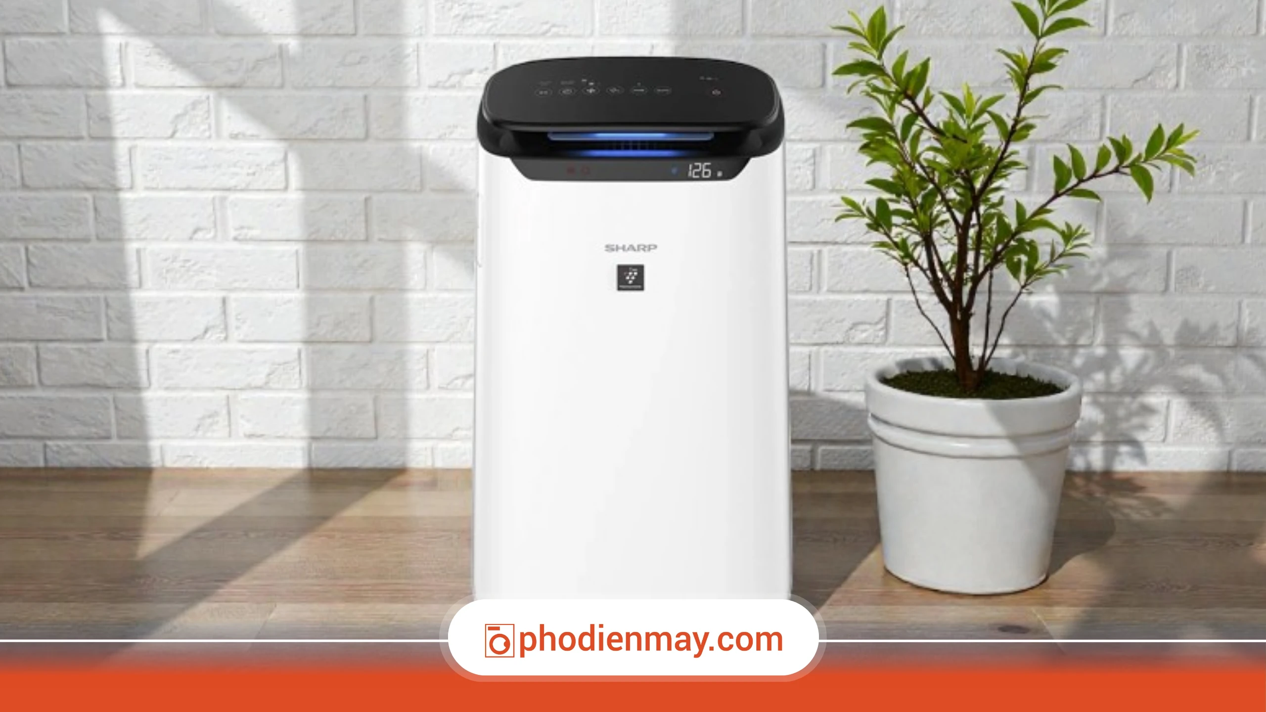 máy lọc không khí, máy lọc không khí cho sinh viên, có nên mua máy lọc không khí, Phố Điện Máy