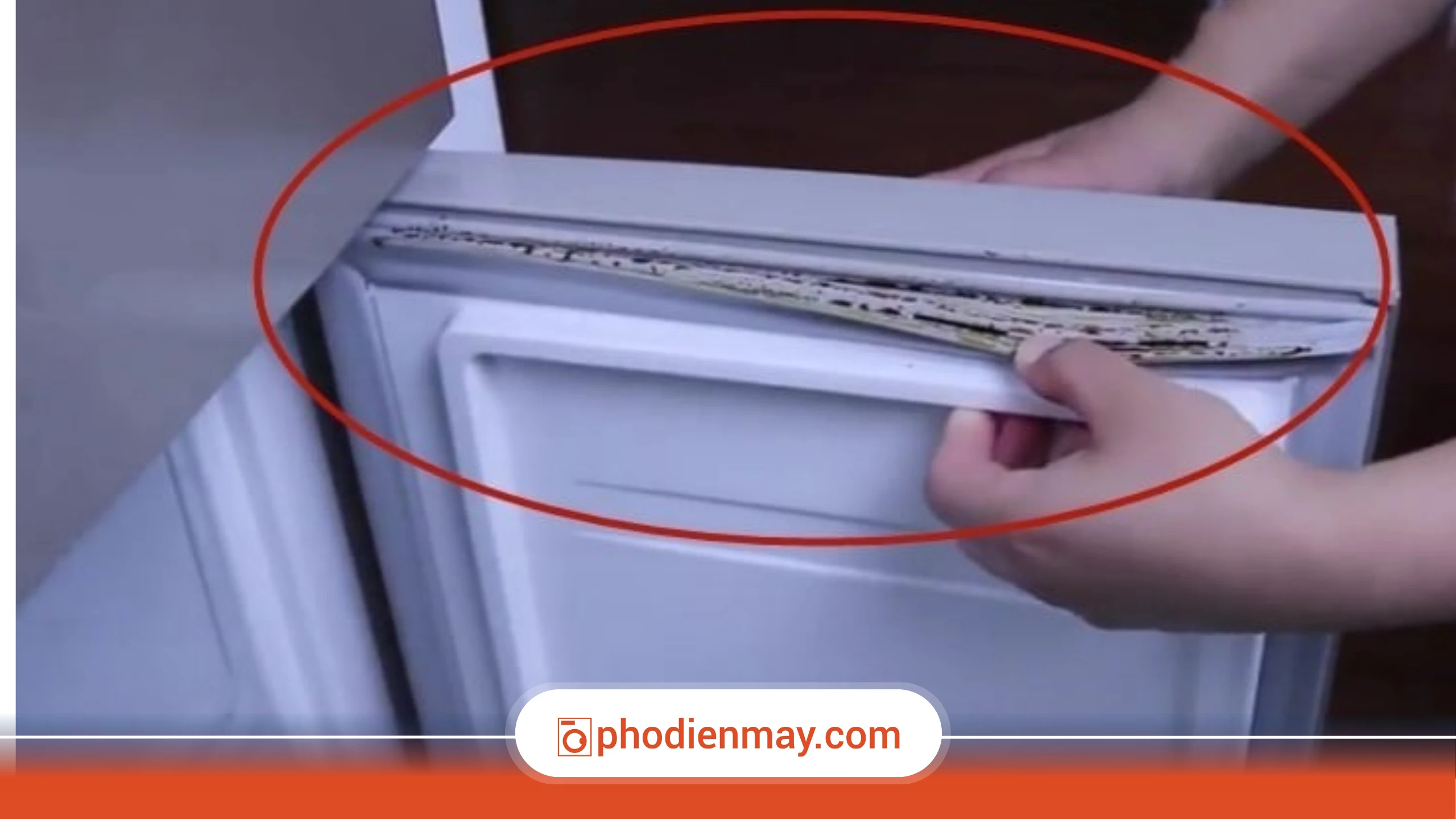 Cách vệ sinh ron cao su tủ lạnh