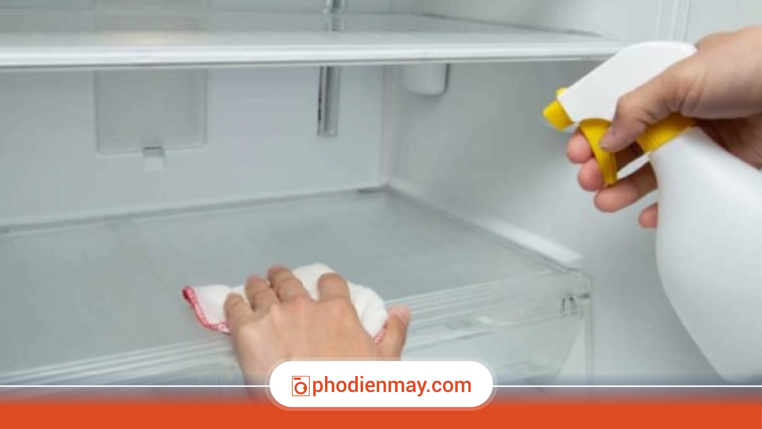 Các bước vệ sinh khay, ngăn và ron tủ lạnh 