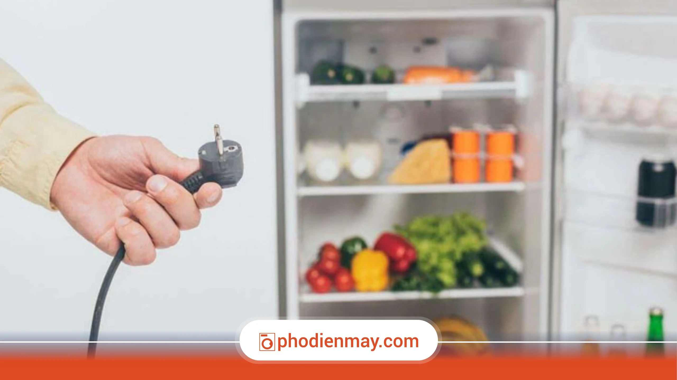 Những lưu ý quan trọng khi vệ sinh tủ lạnh