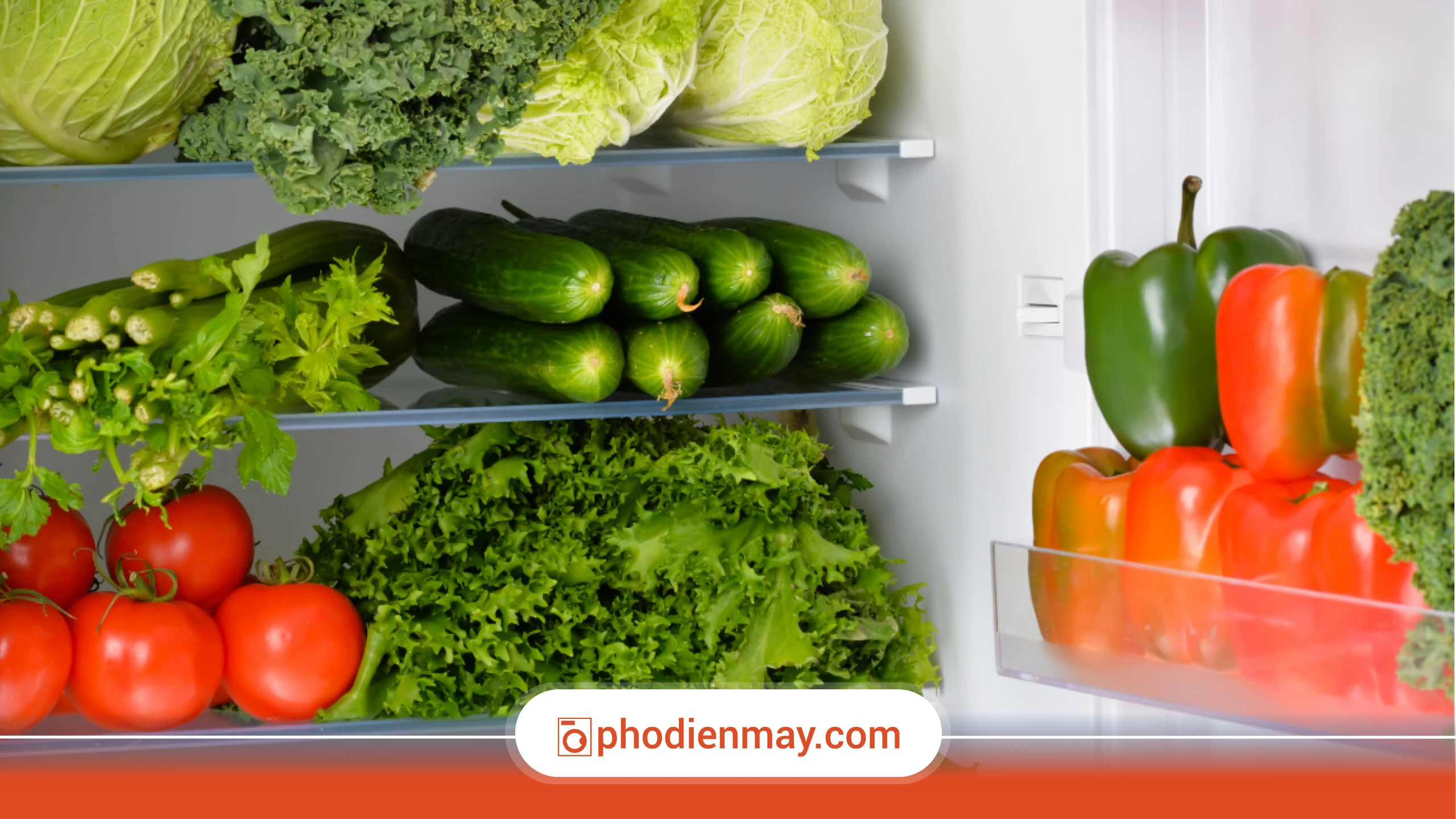 Sắp xếp rau củ khoa học trong tủ lạnh
