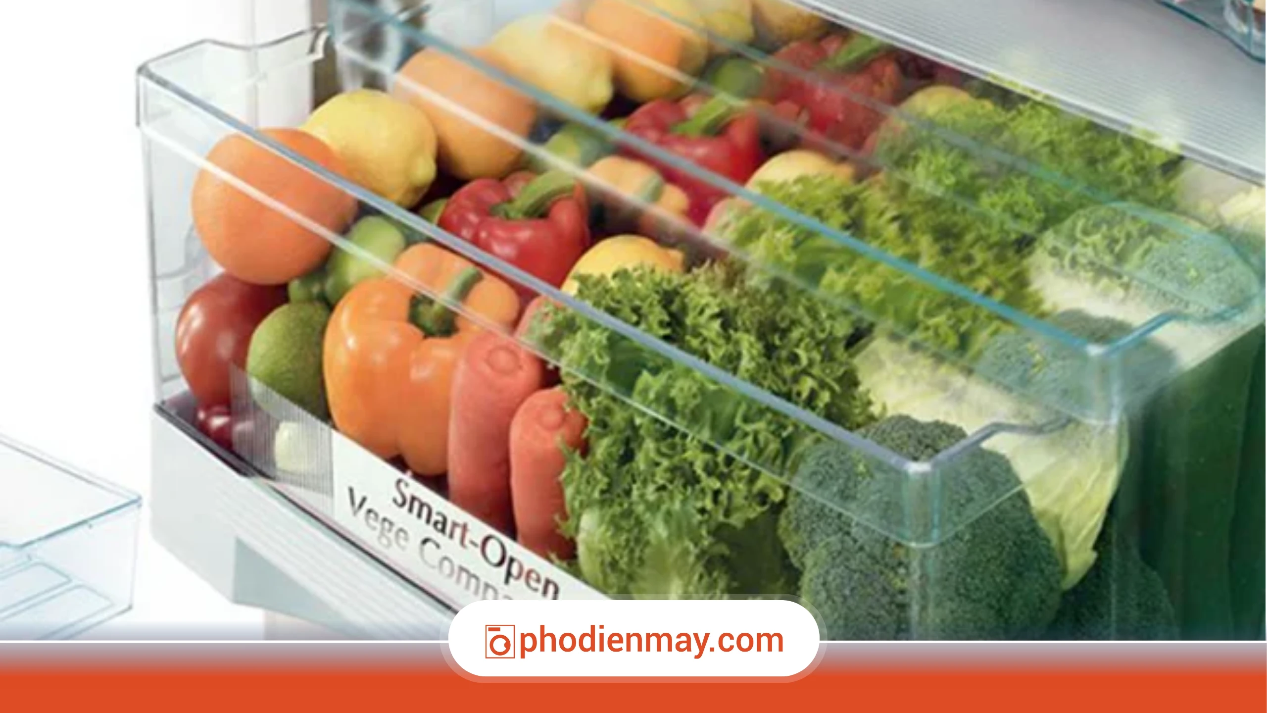 Một số mẹo giúp rau củ tươi lâu hơn