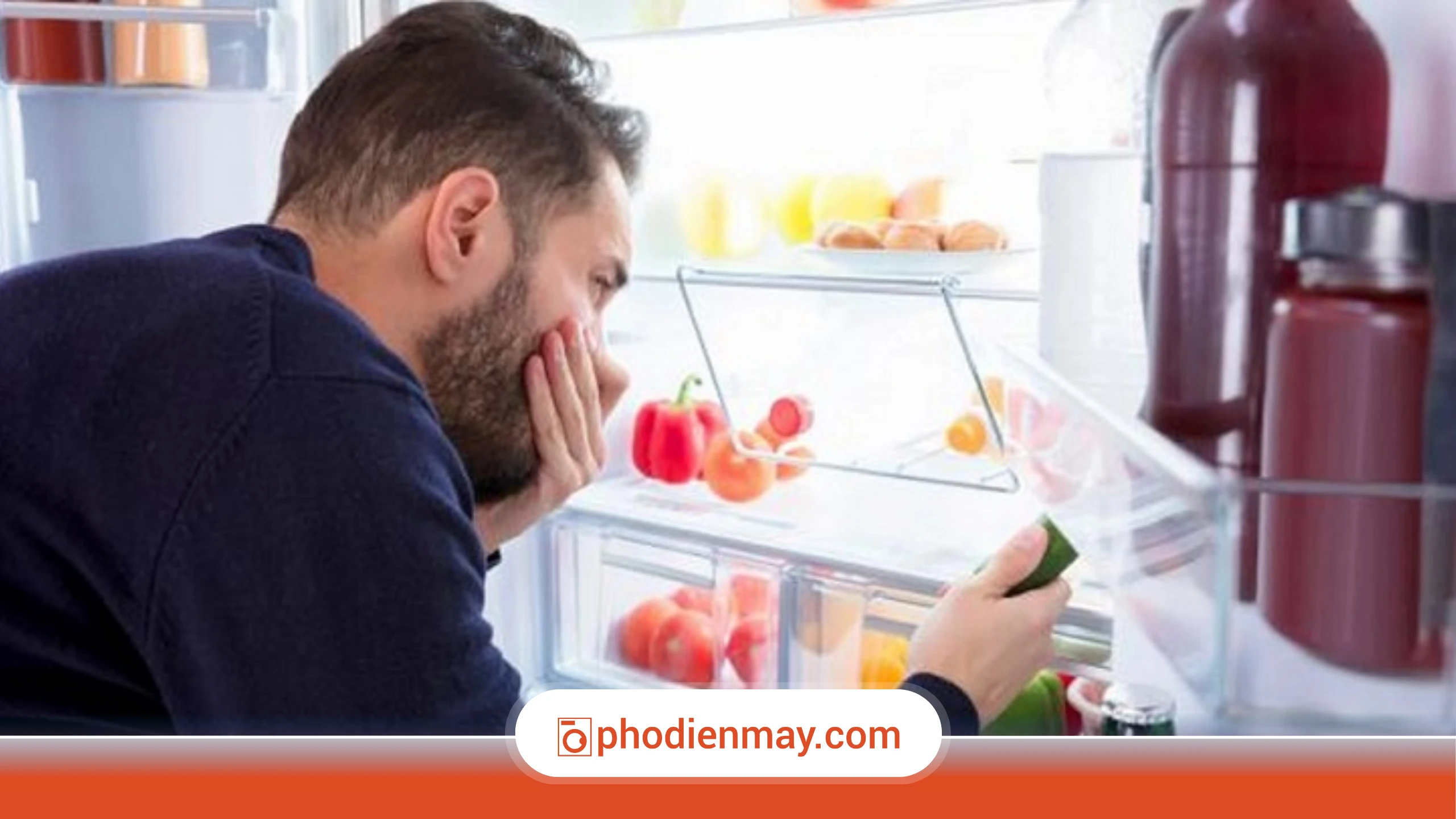 Nguyên nhân khiến tủ lạnh có mùi hôi