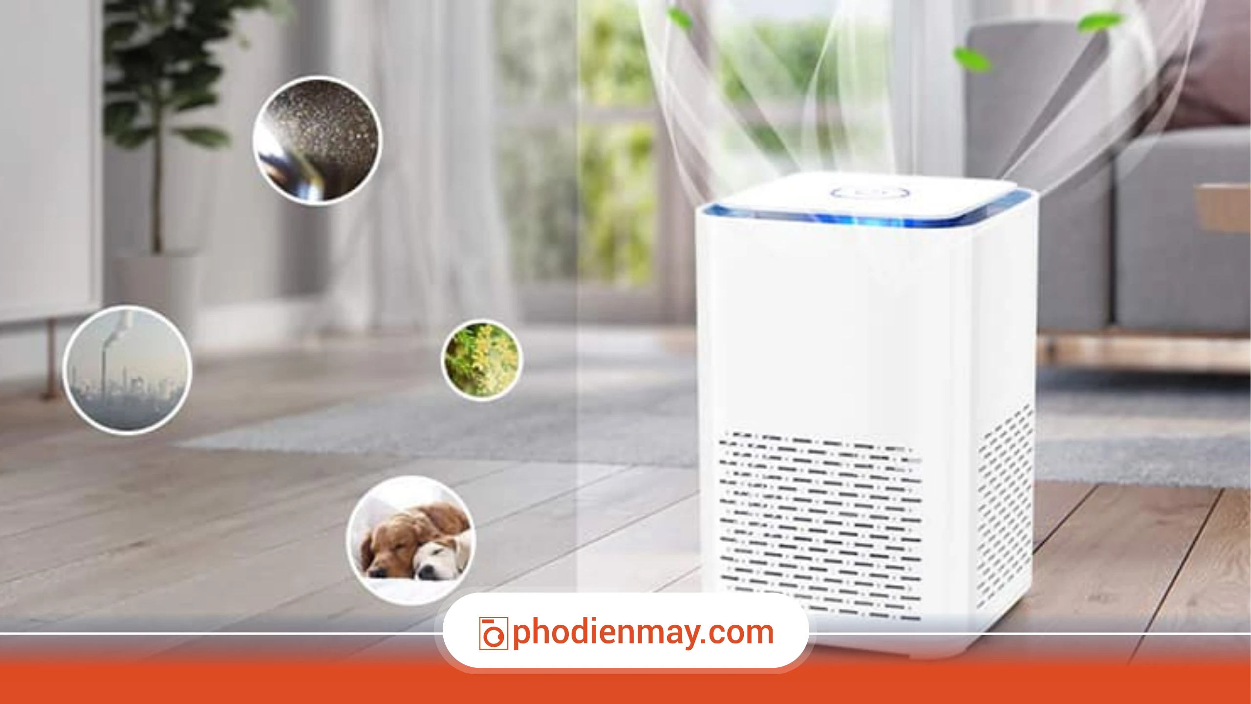 Máy Lọc Không Khí Là Gì? Vì Sao Ngày Càng Nhiều Gia Đình Sử Dụng