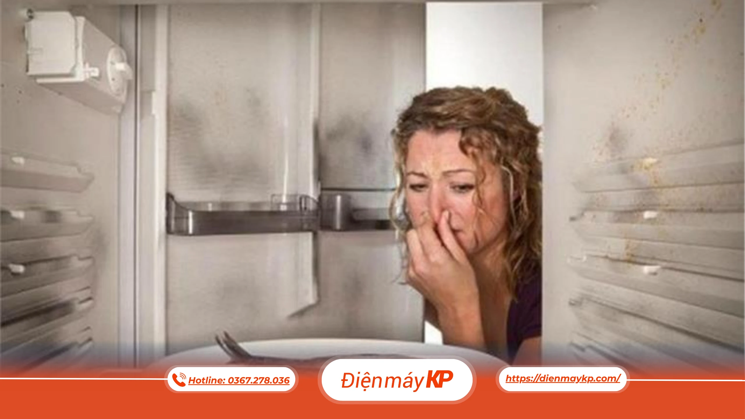Những Sai Lầm Khi Bảo Quản Hải Sản Trong Tủ Lạnh Khiến Hải Sản Nhanh Hỏng