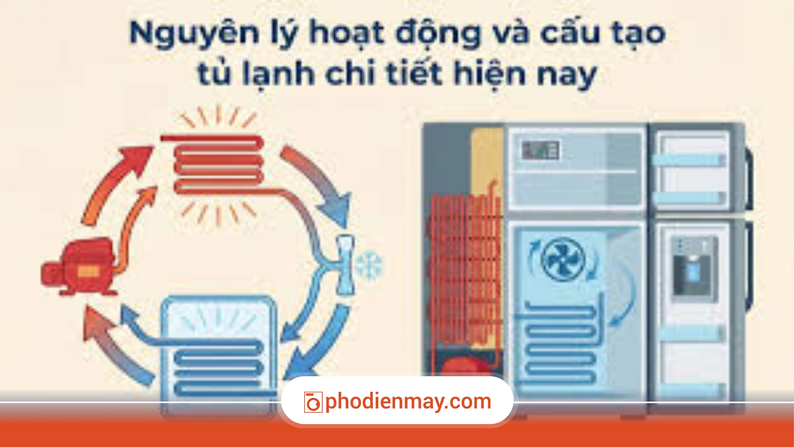 Nguyên lý hoạt động của tủ lạnh (hiểu để dùng đúng và tiết kiệm điện)