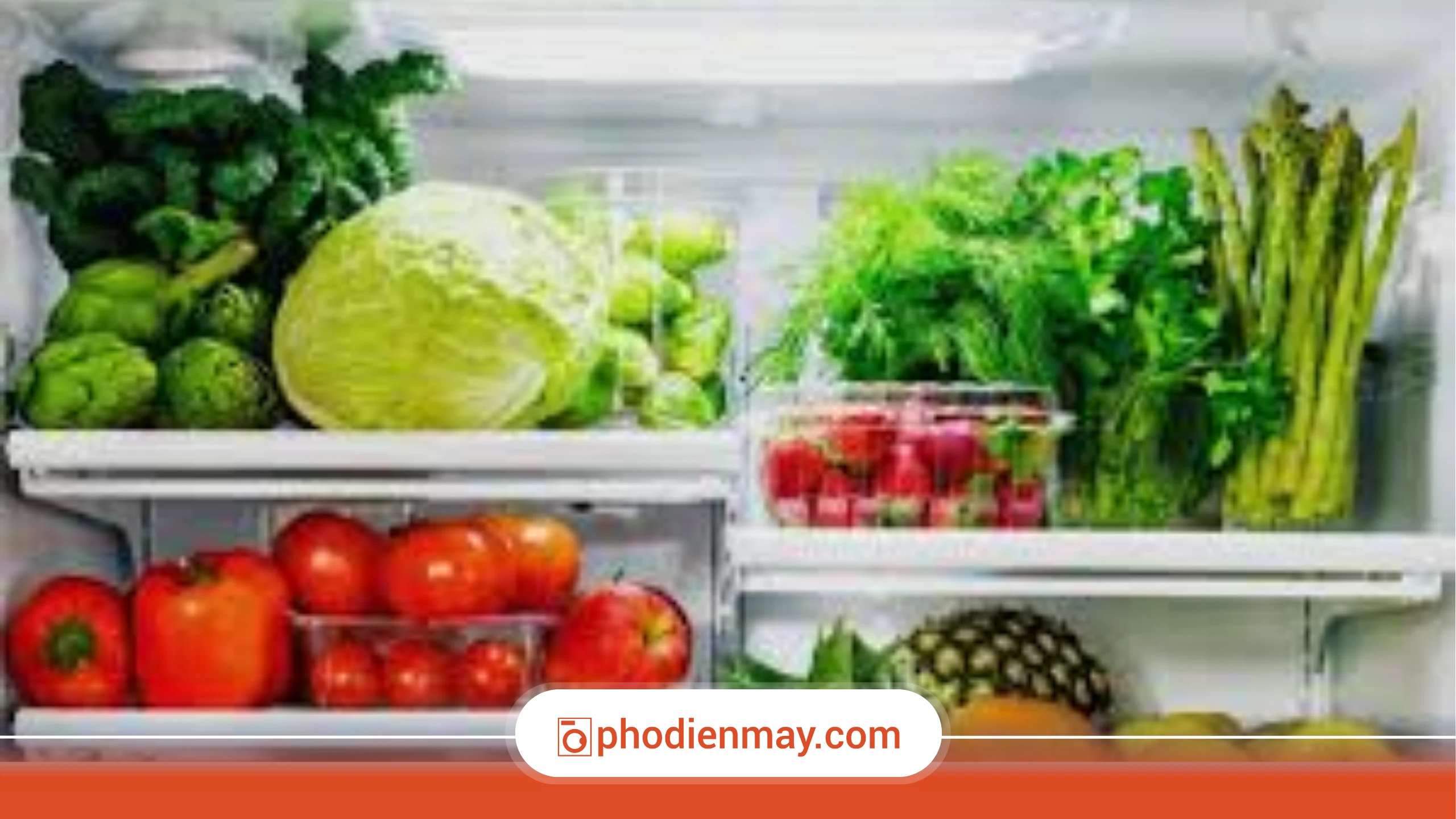 Cách bảo quản rau củ tươi lâu trong tủ lạnh theo từng nhóm thực phẩm