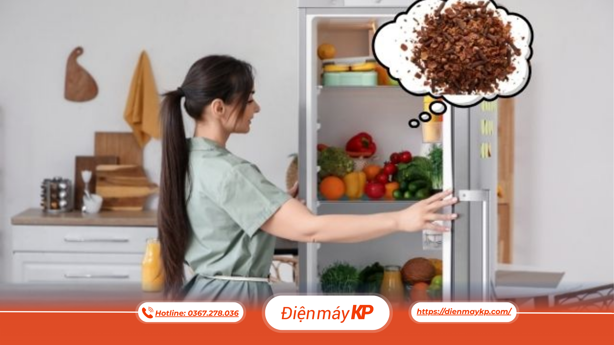 Cách Hạn Chế Tủ Lạnh Bị Hôi Trở Lại