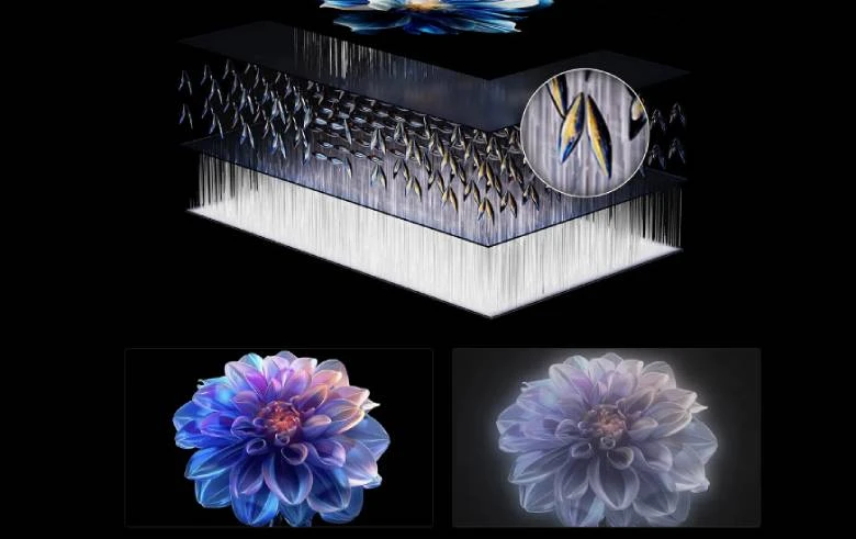 Google Tivi TCL QD-MiniLED 4K 55 inch 55C6K - Tấm nền HVA cho hình ảnh sống động hơn