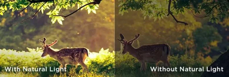 Google Tivi TCL QLED 4K 85 inch 85P8K - Công nghệ bảo vệ mắt, chăm sóc sức khỏe