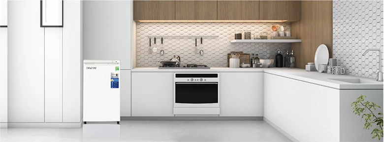 Tủ đông Hòa Phát HPF UAH6106