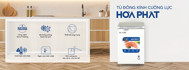 Tủ đông Hòa Phát HPF AD6107.T1