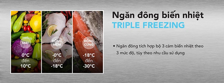 Tủ đông Hòa Phát HPF AD6107.T1 có ngăn biến nhiệt