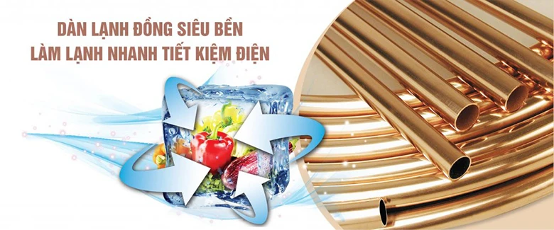 dan-lanh-bang-dong-nasaky