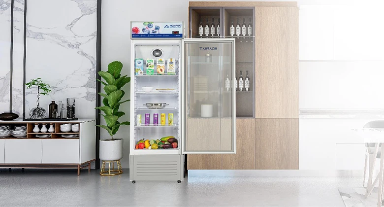 Tủ mát Hoà Phát 242 lít HSR D6242 kính lowE